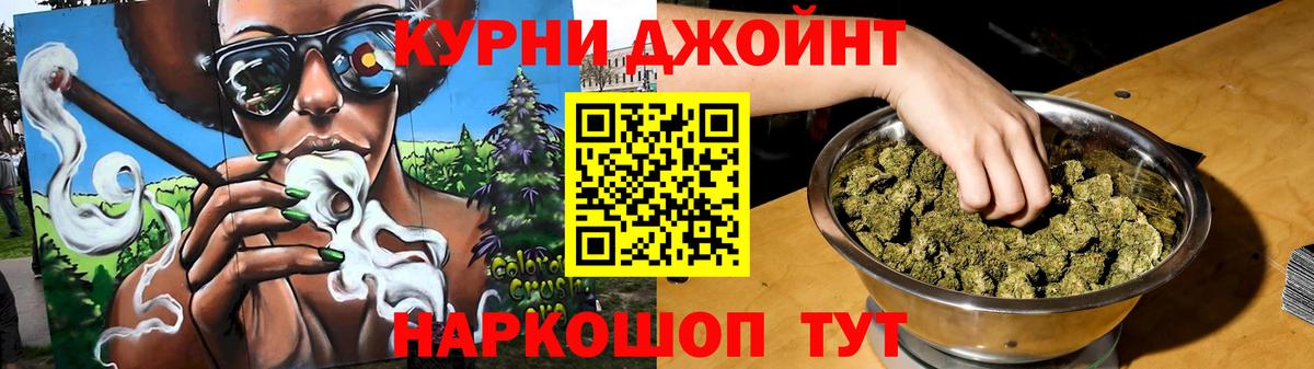 Касимов  Каннабис планчик  Бошки марихуана индика  Вход с VPN  Бошки Шишки LSD WEED 